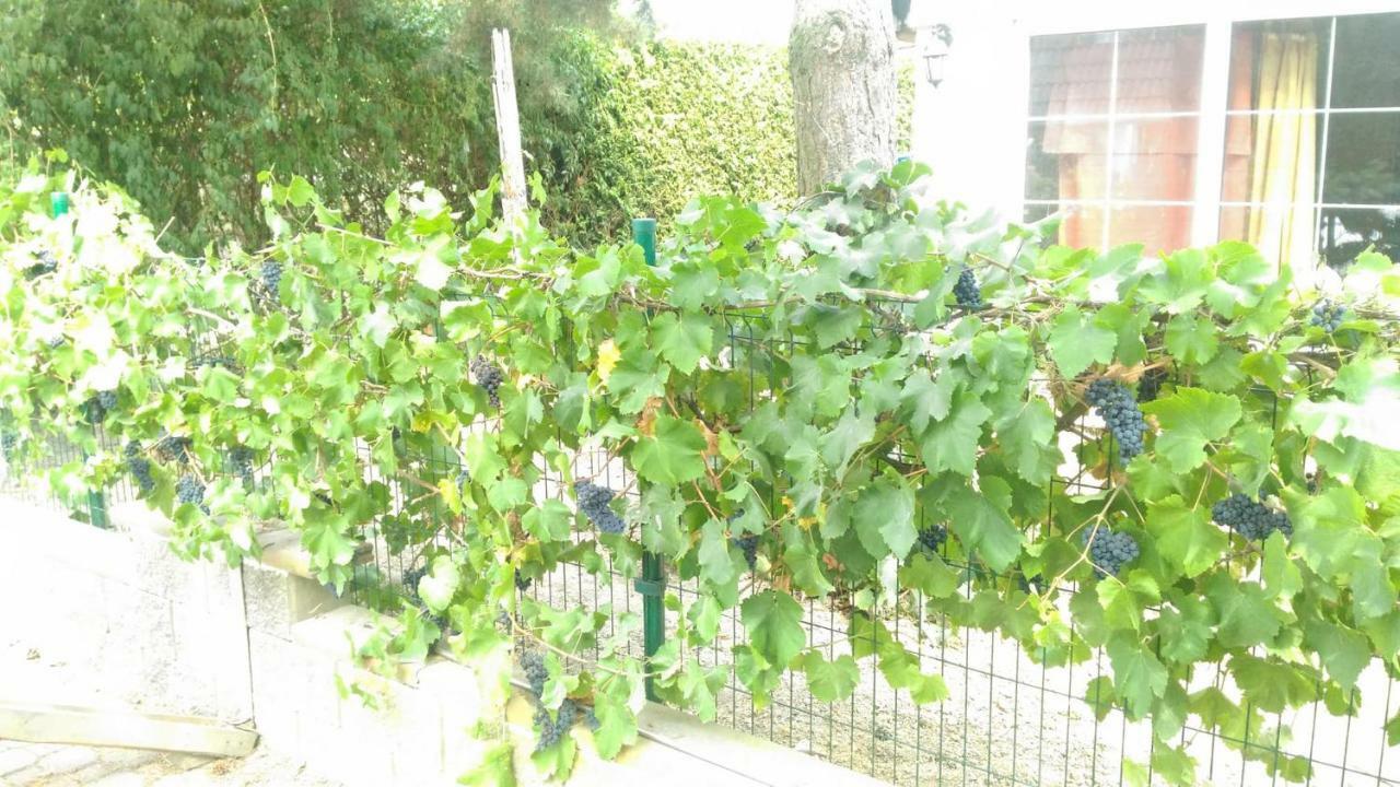 Suita U Toma Vestec  Εξωτερικό φωτογραφία